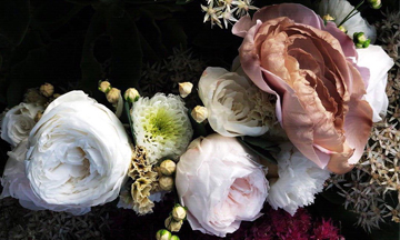 Ethereal Blooms appoints Lucy Dartford PR